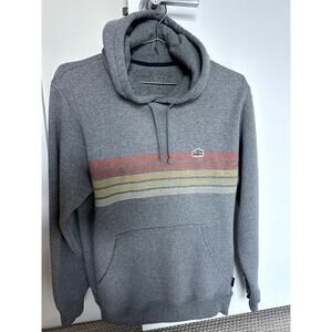 Patagonia Striped Hoodie